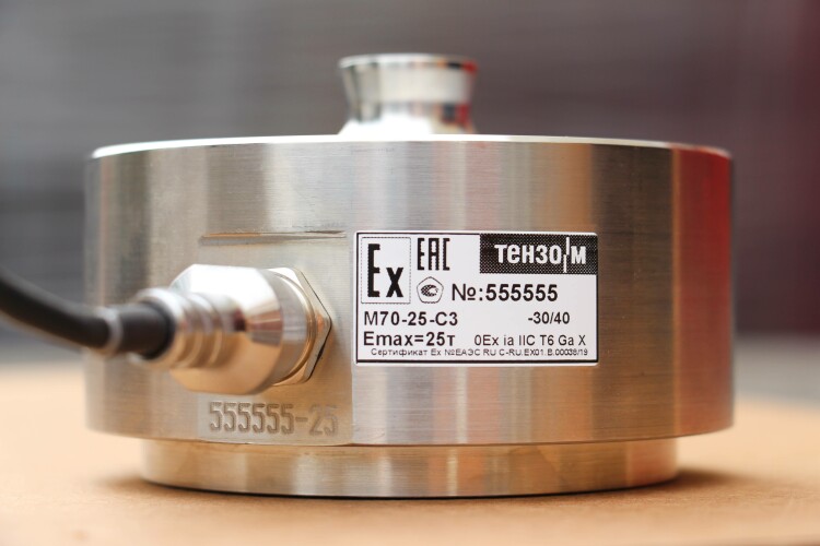 Выпущен тензодатчик с серийным номером 555 555